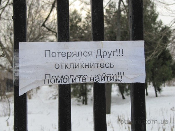 Картинки, пропал друг смешные картинки