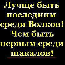 Лучше быть последним среди волков чем первым среди шакалов картинка