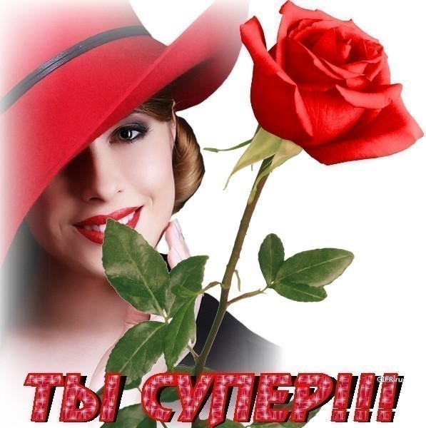 Овчарка картинки, красивая открытка ты классный