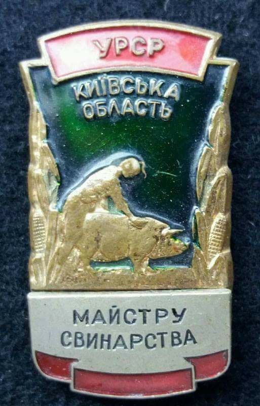 h-2566.jpg