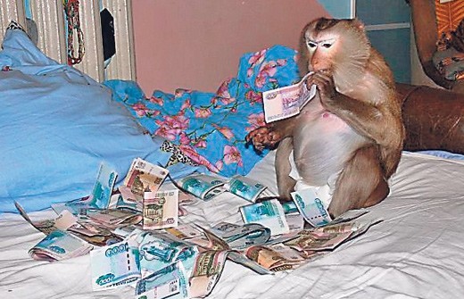 Monkey money