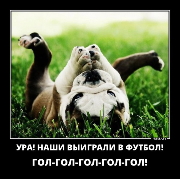Открытки ура мы победили в игре, картинки аниматроники