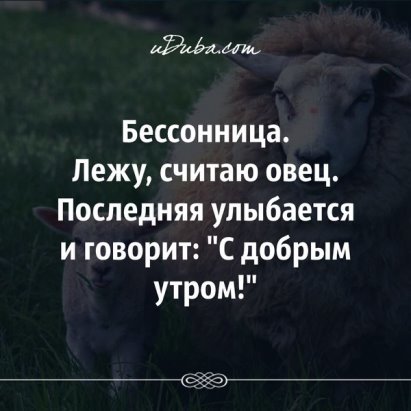 Бессонница картинки прикольные