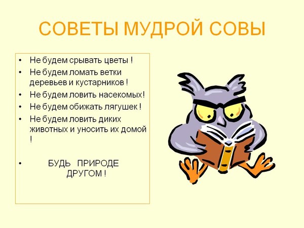 Картинки в строчке расставлены так как происходят события в сказке после того как сова обиделась