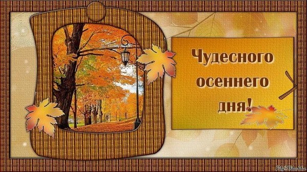 Картинки С Добрым Осенним Воскресеньем
