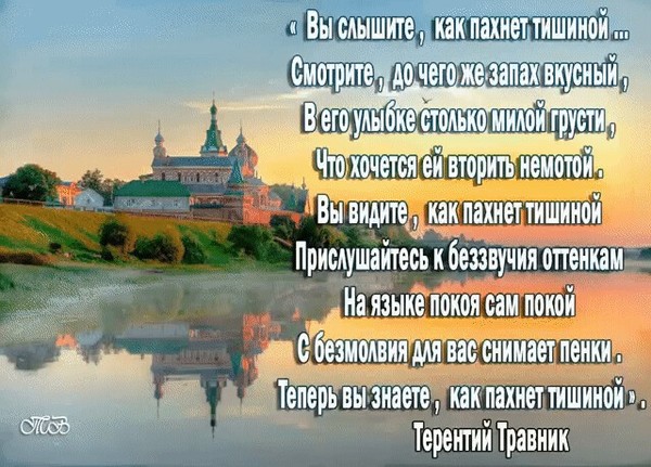 Терентий травник фото