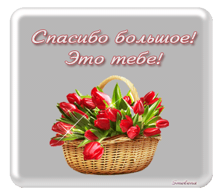 Picture background
