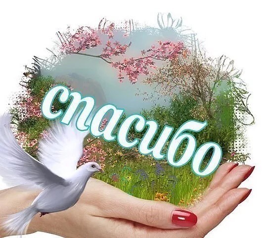 Открытки я говорю спасибо всем