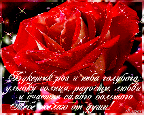 Открытка с розой и стихами