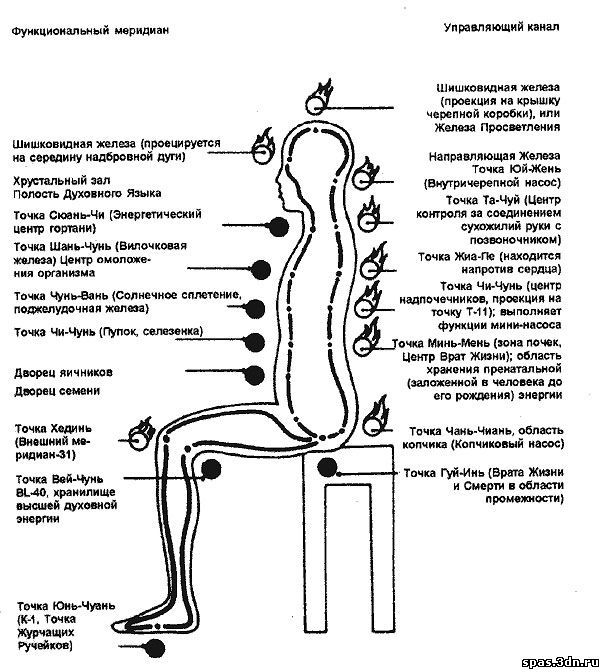 Меридианы на спине человека схема