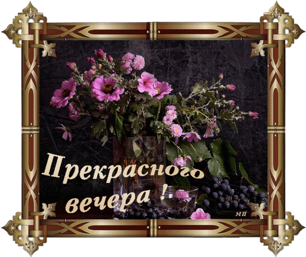 Гифки с добрым вечером оля, картинка прикольная