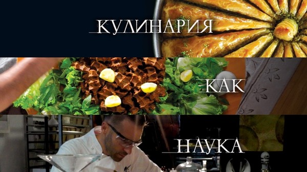 Наука и кулинария физика еды от повседневной до высокой кухни