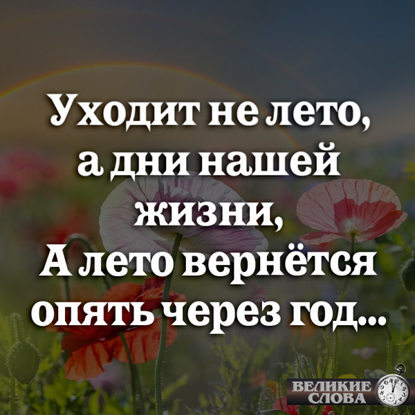 Слова уходящего лета. Цитаты про уходящее лето. Цитаты об уходящем лете. Цитаты об ушедшем лете. Лето уходит цитаты.