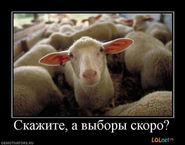 а выборы скоро