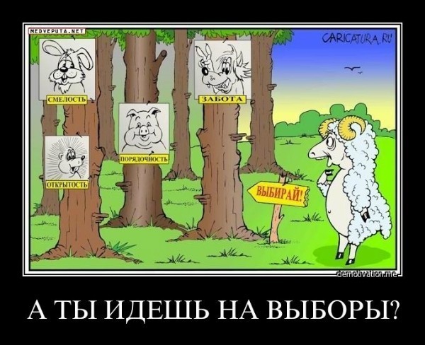 А ты идёшь на выборы