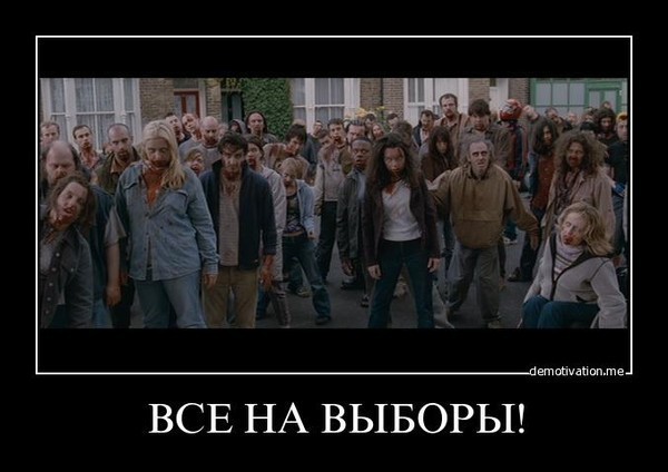 все на выборы