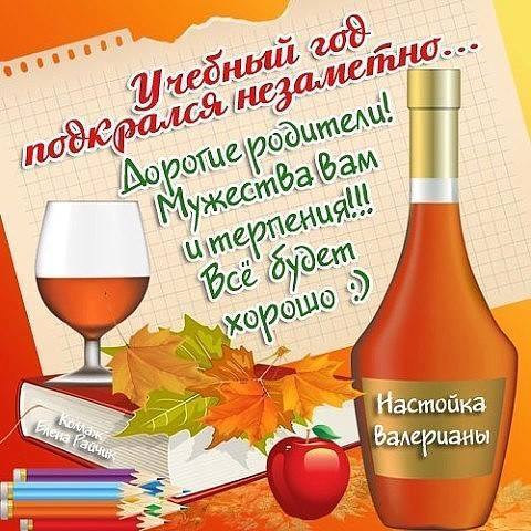 Летием, картинка с новым учебным годом прикол