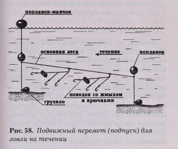 Перемет на щуку своими руками схема Фото 3959, альбом для рыбалки - 235 фото Фотографии Igor Ai.