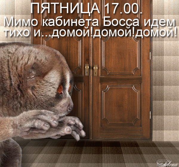 ПРИКОЛЬНЫЕ КАРТИНКИ С НАДПИСЯМИ РЖАЧНЫЕ ПРО ПЯТНИЦУ СКАЧАТЬ БЕСПЛАТНО ПРИКОЛЬНЫЕ КАРТИНКИ С НАДПИСЯМИ РЖАЧНЫЕ ПРО ПЯТНИЦУ СКАЧАТЬ БЕСПЛАТНО