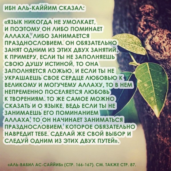 Сказал ибн. Цитаты ибн Каййим Аль-Джаузийя. Ибн Кайим высказывания. Ибн Аль Каййим сказал. Высказывания ибн Каййим.