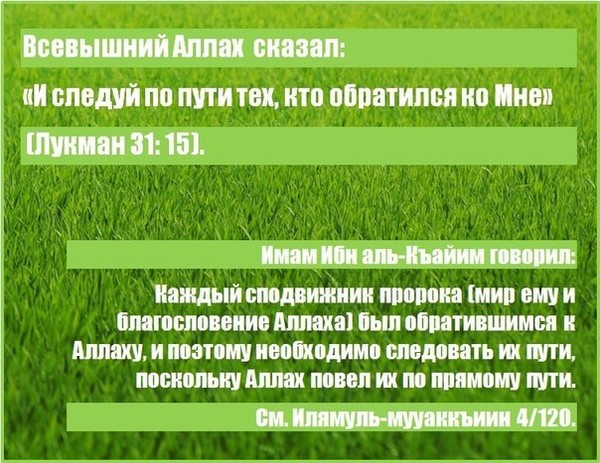 Кто такие табиины в исламе и сахабы. Смотреть фото Кто такие табиины в исламе и сахабы. Смотреть картинку Кто такие табиины в исламе и сахабы. Картинка про Кто такие табиины в исламе и сахабы. Фото Кто такие табиины в исламе и сахабы