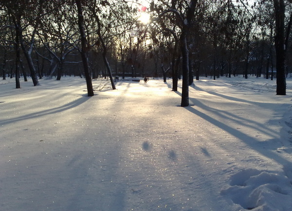 Зима в городе_2