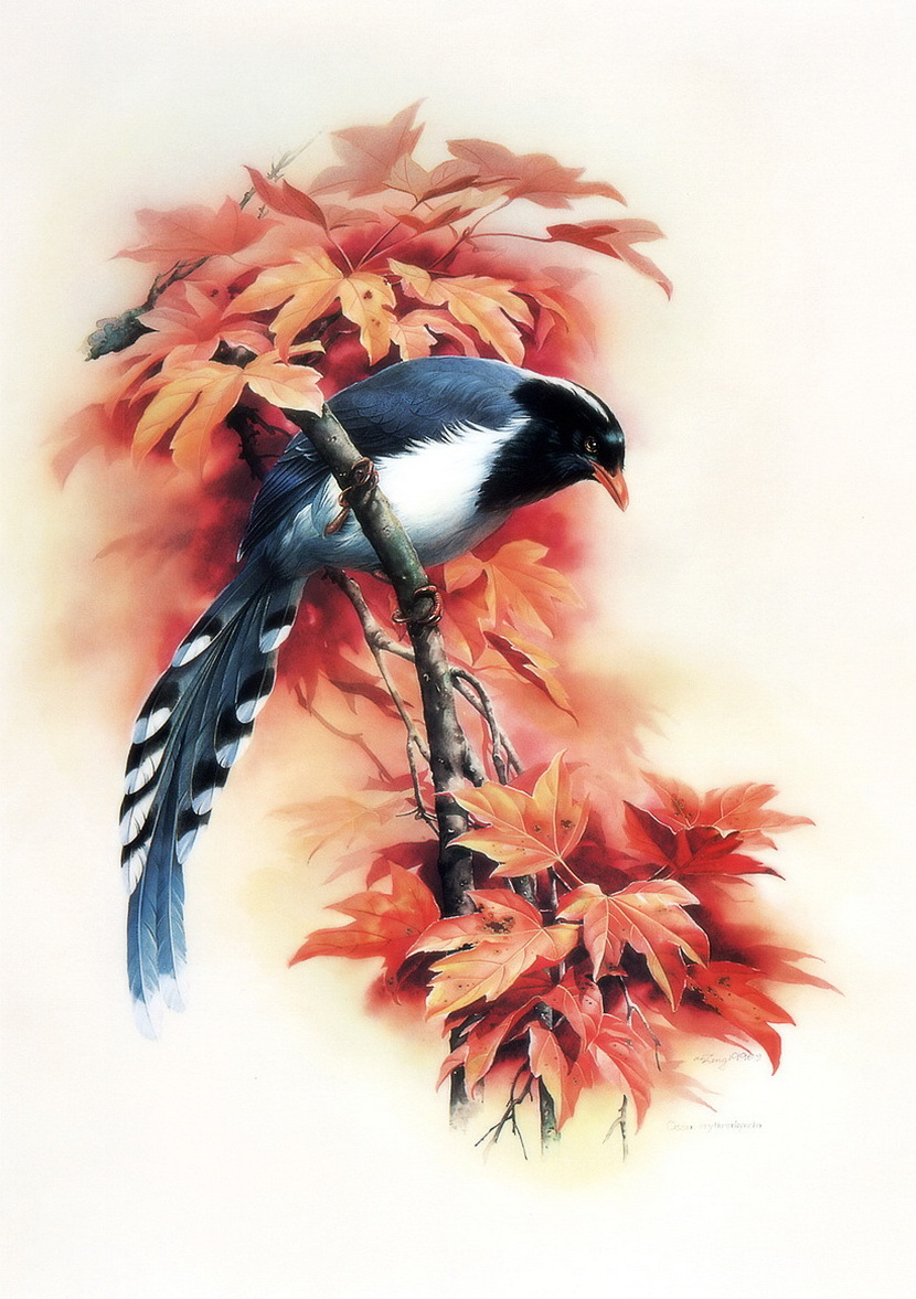 Птицы дивные от Zeng Xiao Lian-КрасотаМания.Красота во всех проявлениях.Красивые фото,картины,видео,музыка,анимация,мода и другая КРАСОТА