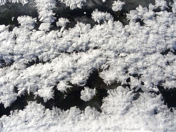 Снежные Узоры на льду Абакана