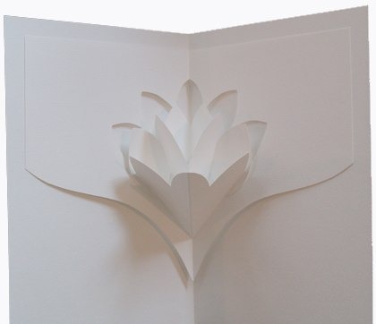 kirigami
