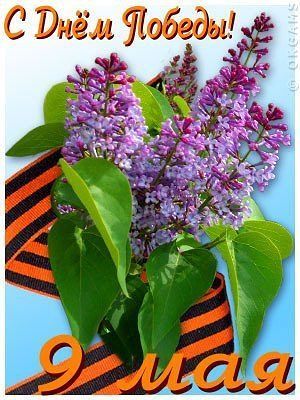 https://content.foto.my.mail.ru/mail/jkmuf1953/_blogs/i-13120.jpg
