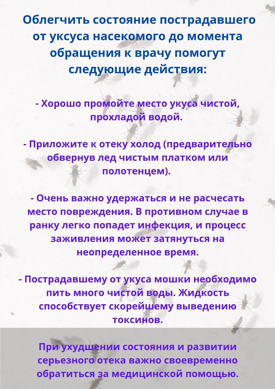 Пятнадцать астраханцев оказались в больнице после укусов мошки | 15.06.2023  | Астрахань - БезФормата