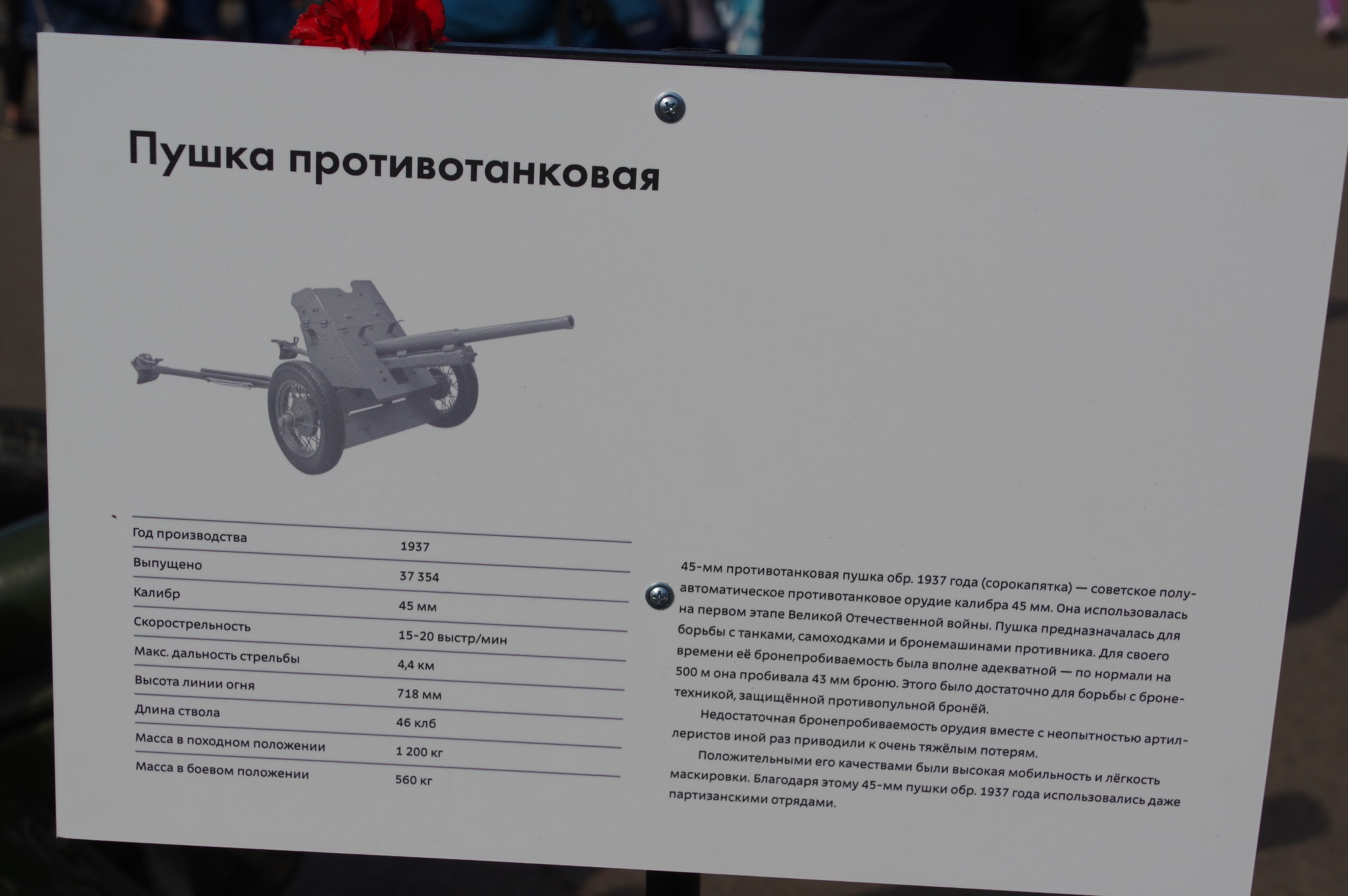 45-мм противотанковая пушка образца 1937 года (cорокапятка)