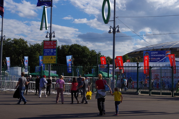 Лужники