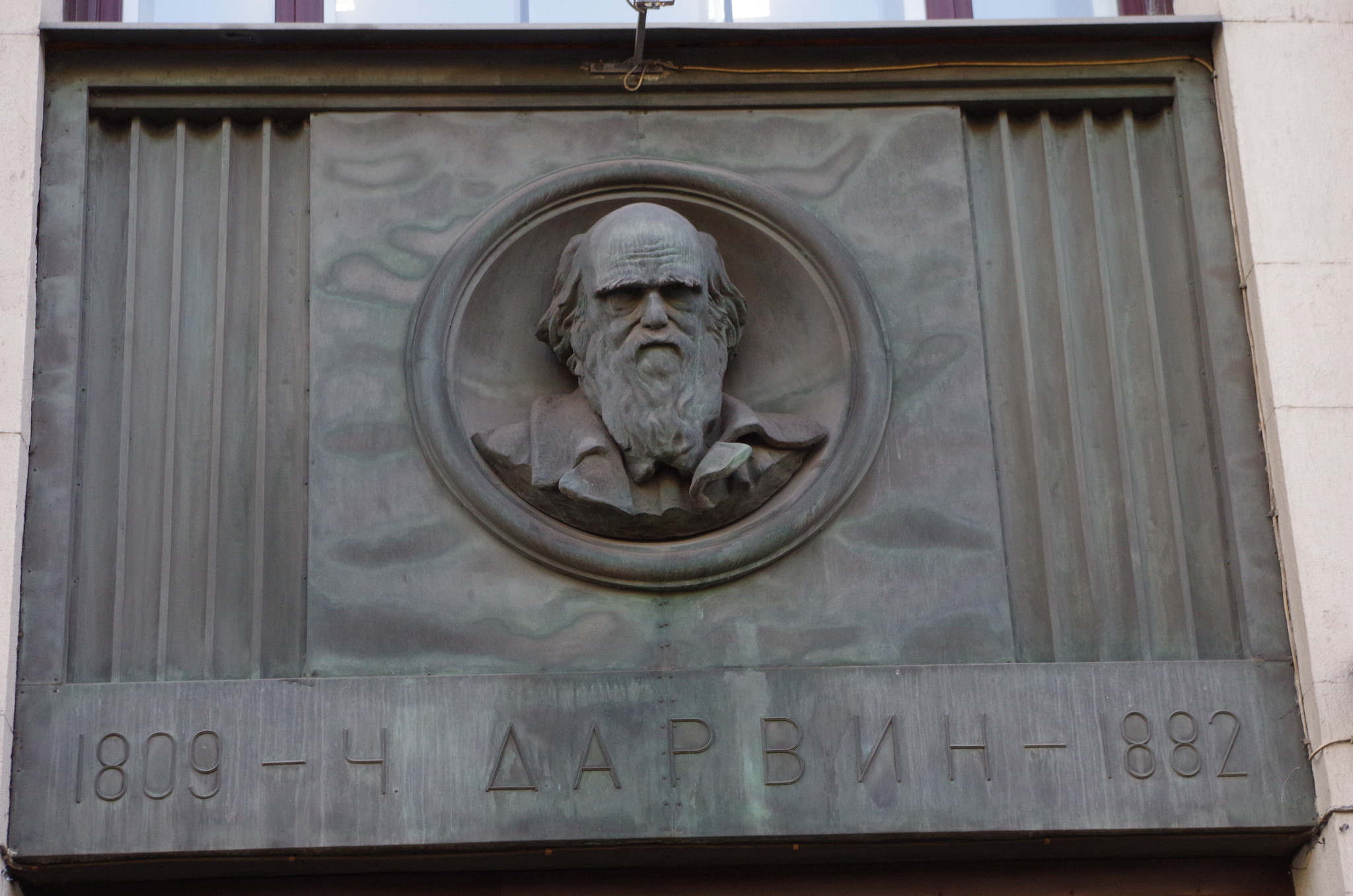 Английский натуралист и путешественник Чарлз Роберт Дарвин (Барельеф на здании Российской государственной библиотеки)