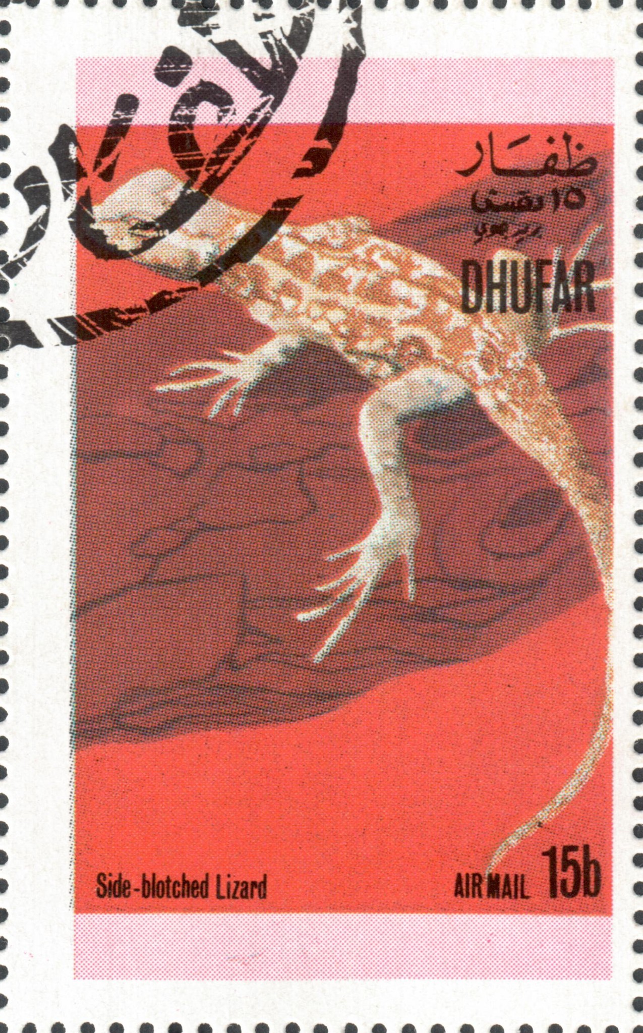 Ящерица