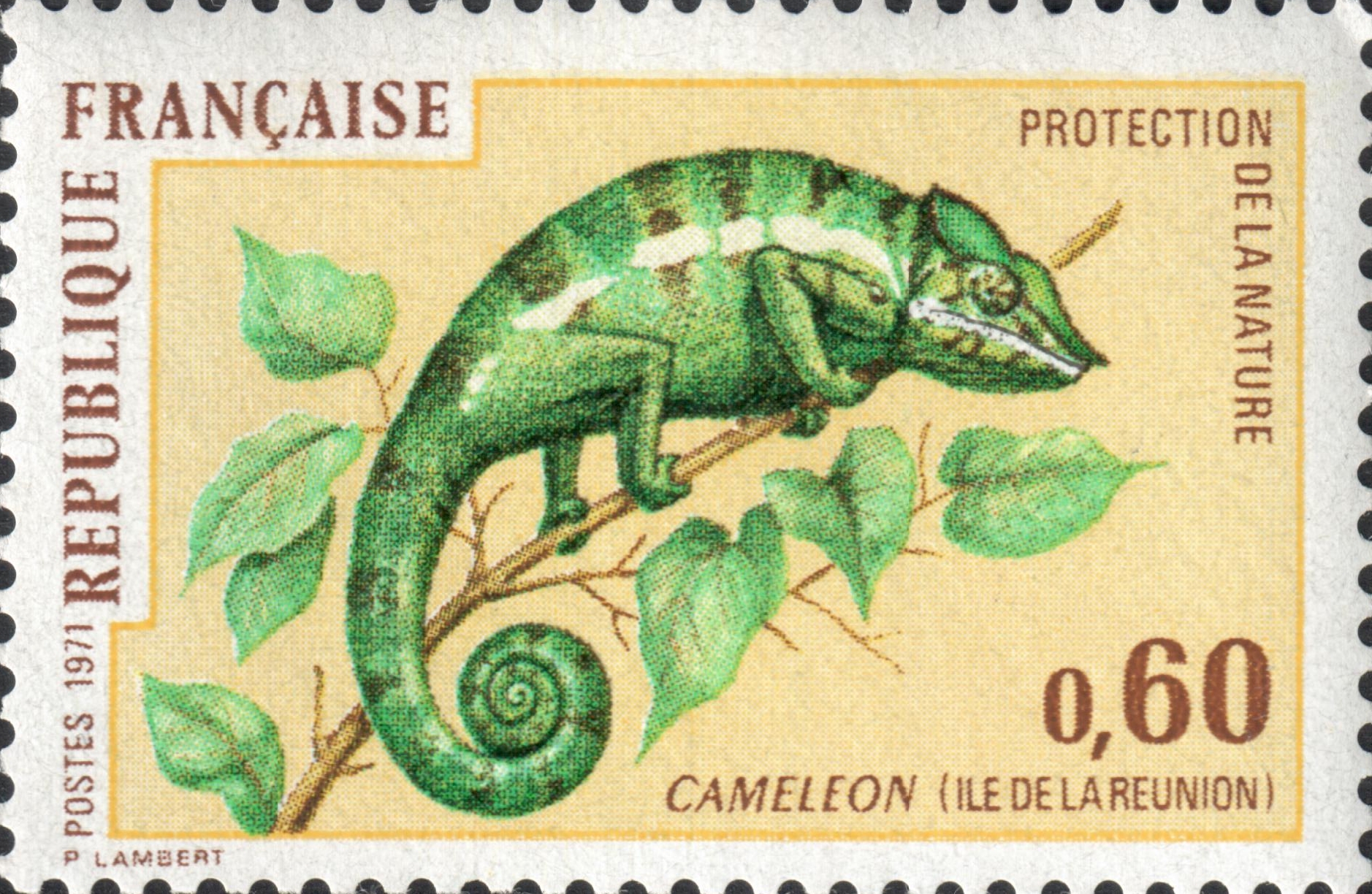 Хамелеон (Cameleon)