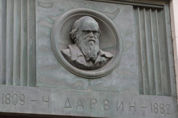 Бронзовый барельеф с изображением Чарльза Дарвина расположенный между пилонами фасада Российской государственной библиотеки