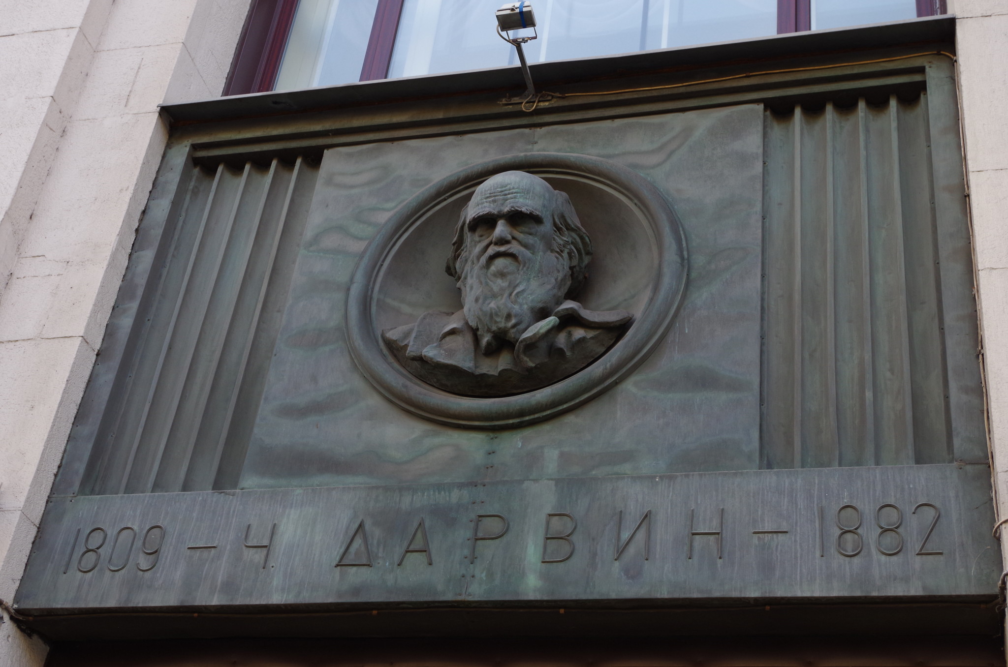 Бронзовый барельеф с изображением Чарльза Дарвина расположенный между пилонами фасада Российской государственной библиотеки