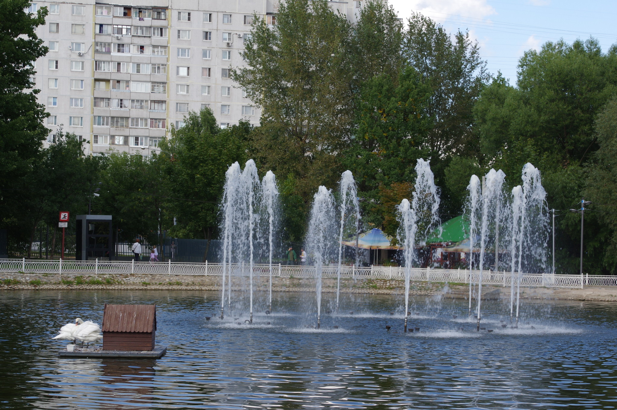 На пруду Лианозовского парка
