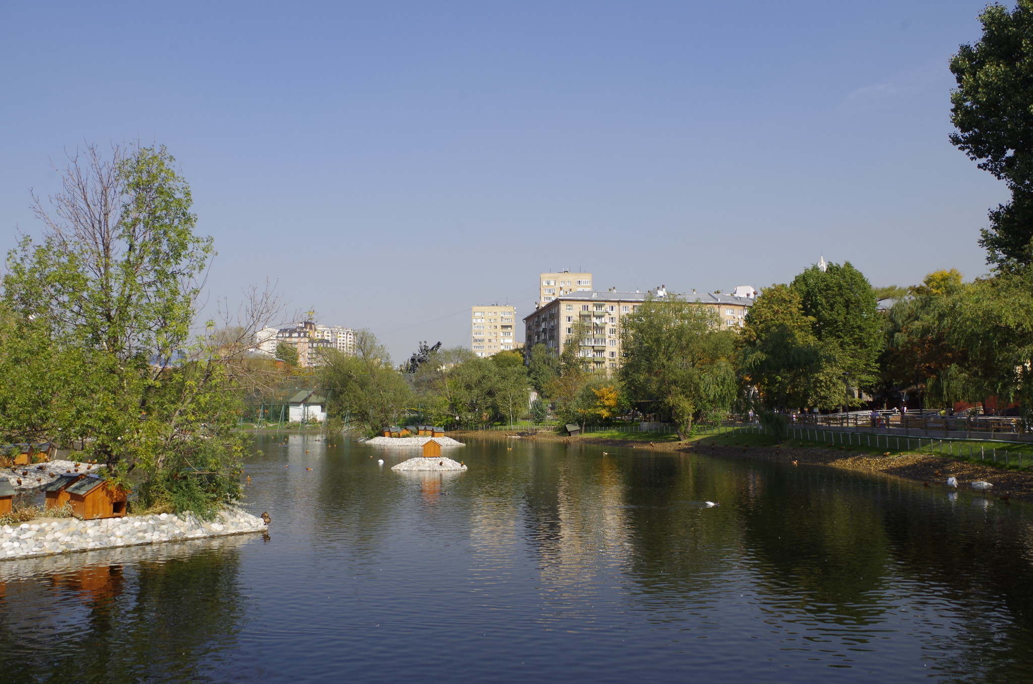 Бассейн ластоногих в Московском зоопарке