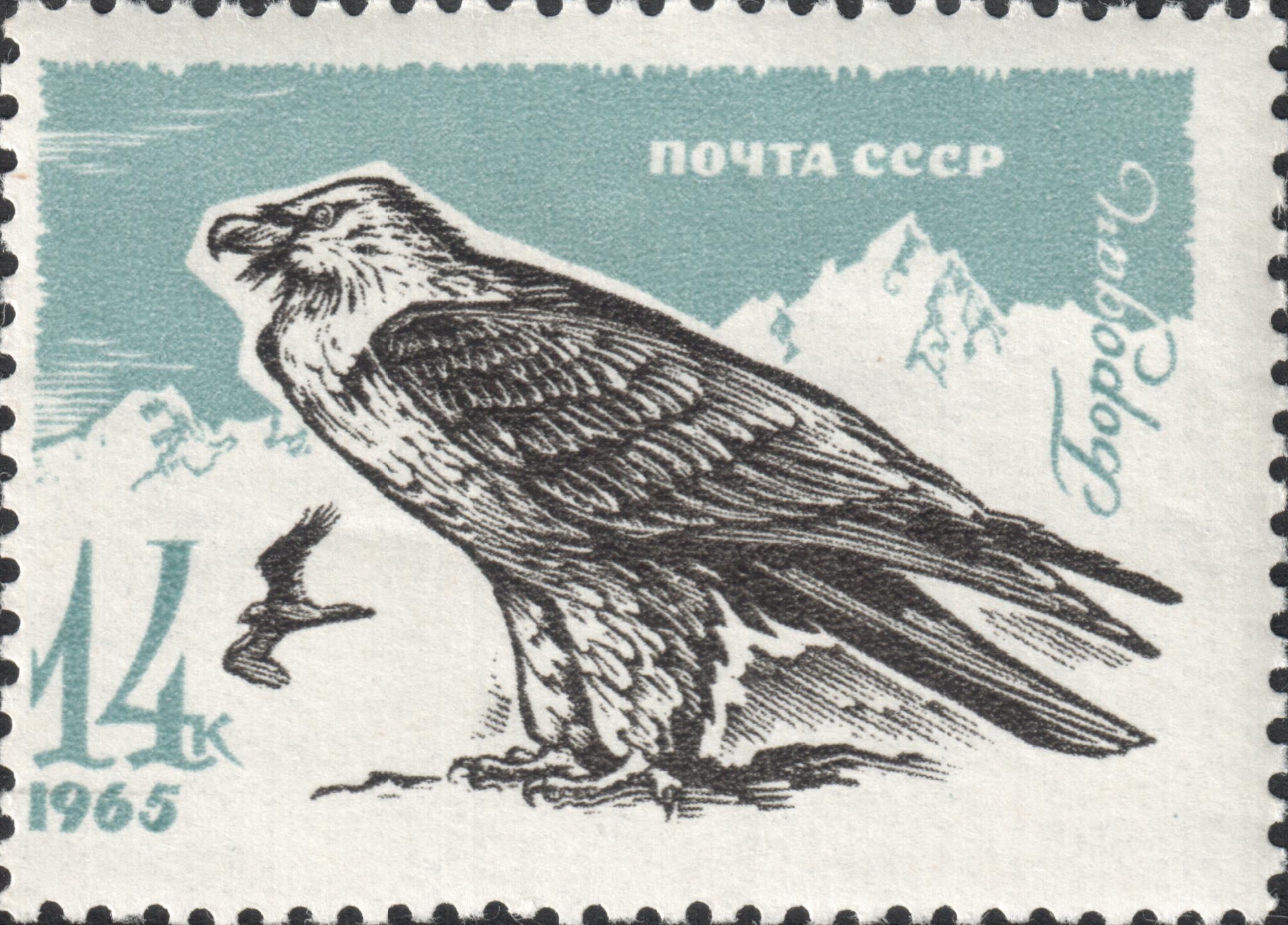 Бородач. Почтовая марка СССР. 1965, ноябрь - декабрь. Хищные птицы. 14 коп.