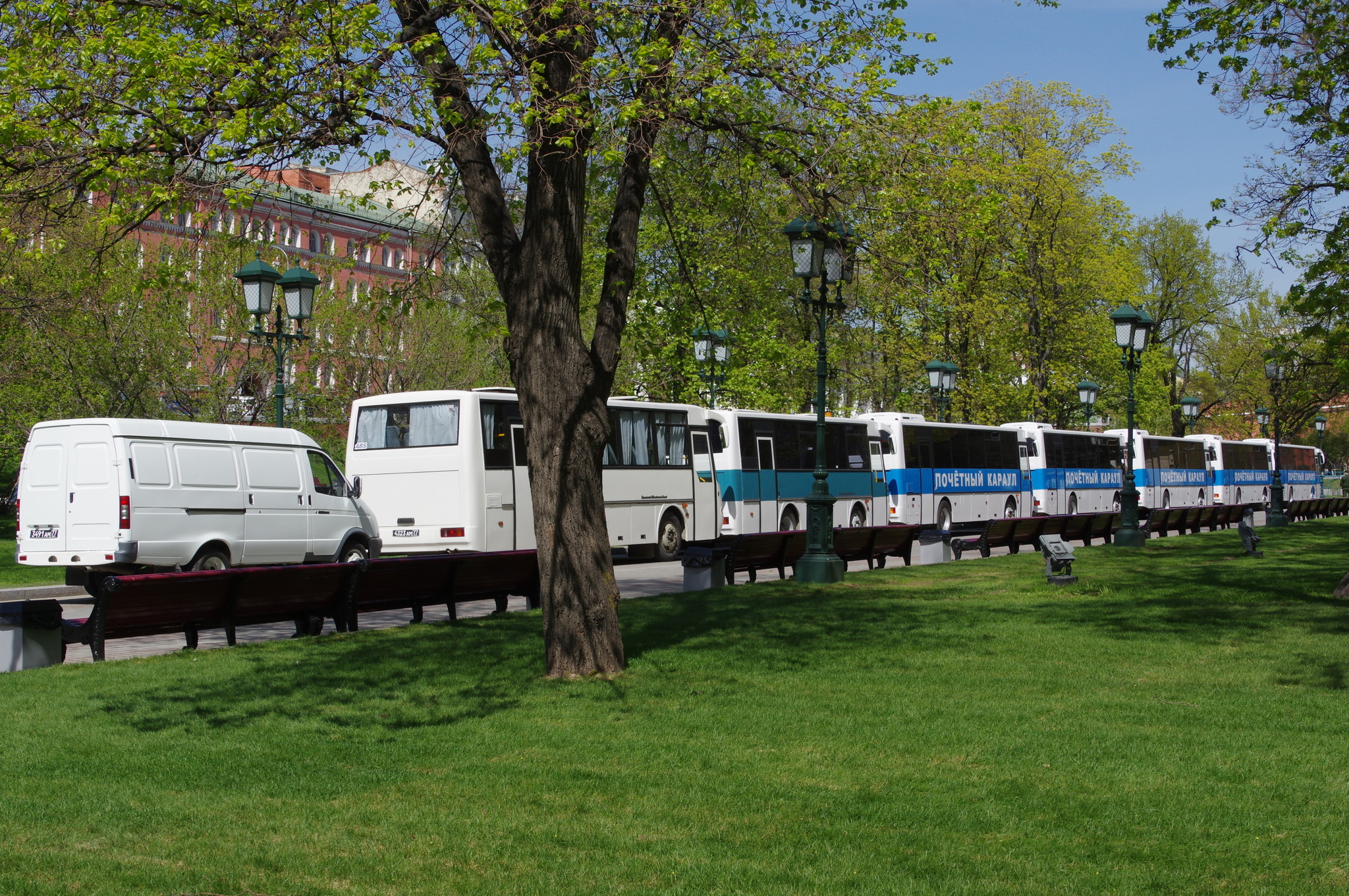 Автобусы Почётного караула в Александровском саду