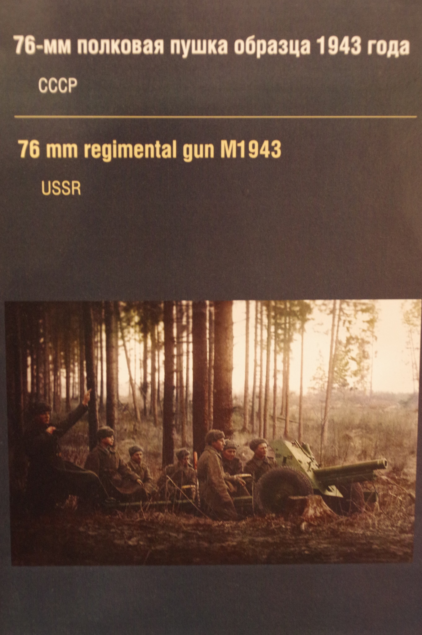 76-мм полковая пушка образца 1943 года в экспозиции Музея Победы