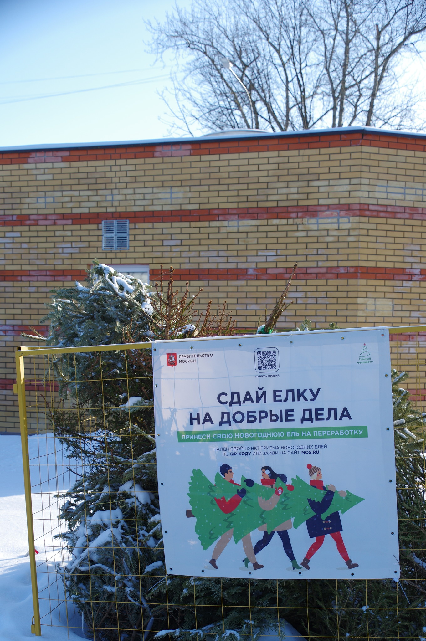 Специальный пункт приёма новогодних ёлок для утилизации в рамках акции «Ёлочный круговорот» на 9-ой Северной линии