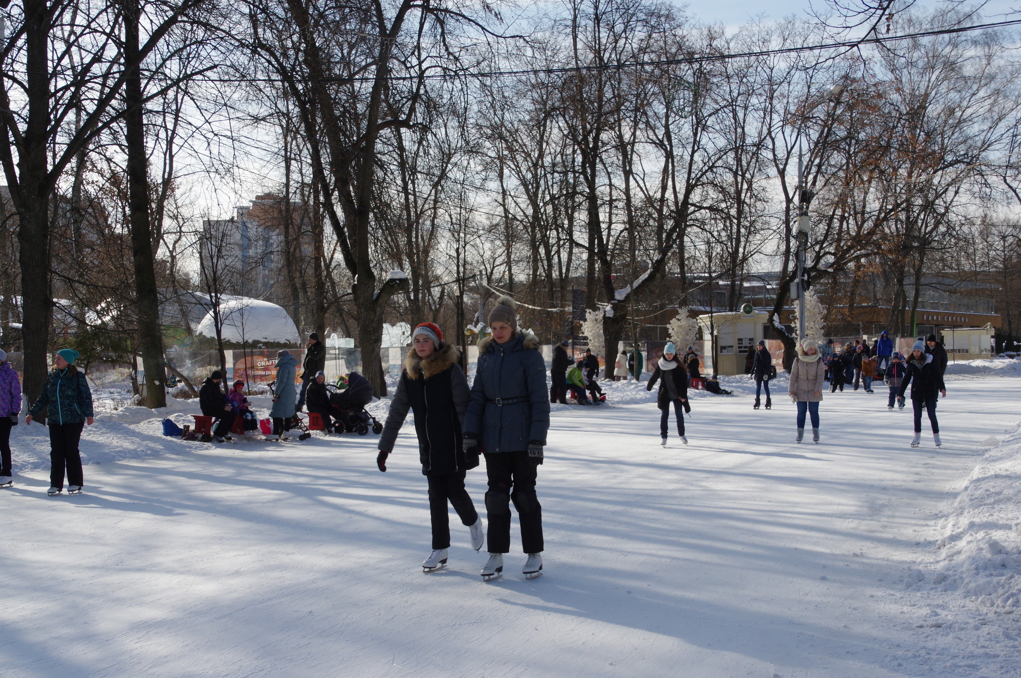 В парке «Сокольники»