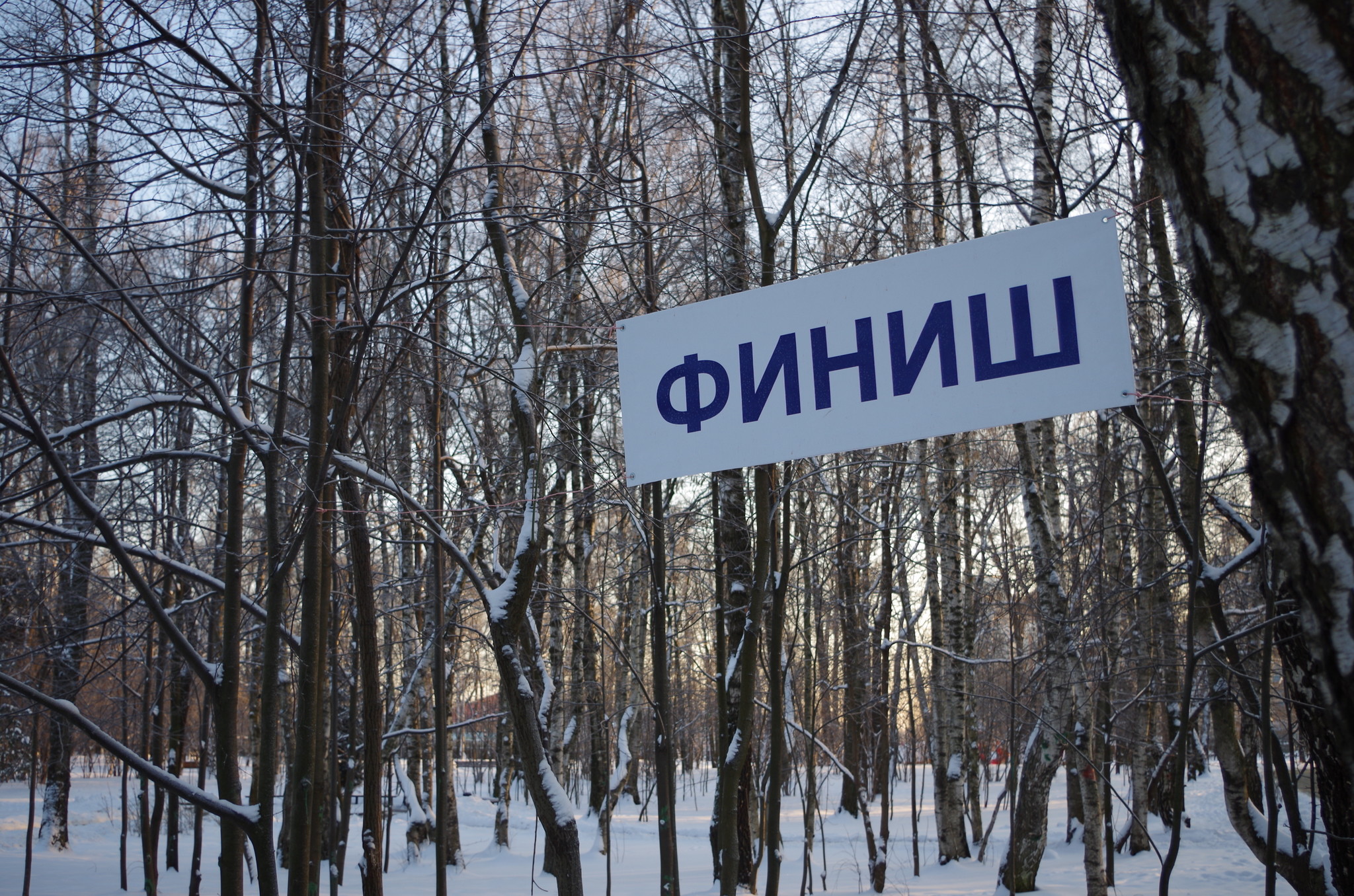 Финиш на лыжной трассе