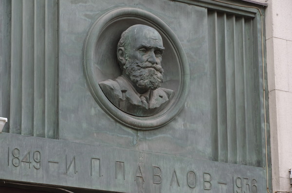 Бронзовый барельеф с изображением физиолога Ивана Петровича Павлова расположенный между пилонами фасада Российской государственной библиотеки