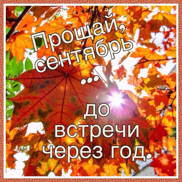 До встречи 1 сентября картинки