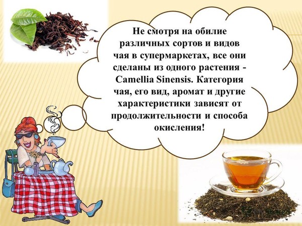 О нашей угловой комнате носившей название чайной хотя в ней и не пили чая