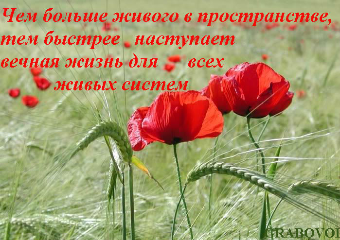 Григорий Грабовой